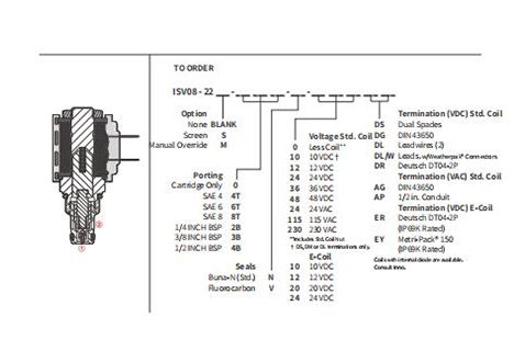 Prestazioni/dimensioni/disegno sezionale di ISV08-22 Poppet 2-Way N.C. Elettrovalvola